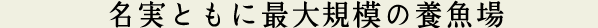 名実ともに最大規模の養殖場