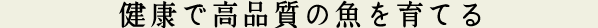 >健康で高品質の魚を育てる